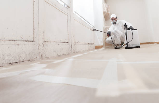 24/7 Emergency Mold Remediation experts in Manistee, MI